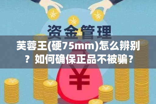 芙蓉王(硬75mm)怎么辨别？如何确保正品不被骗？